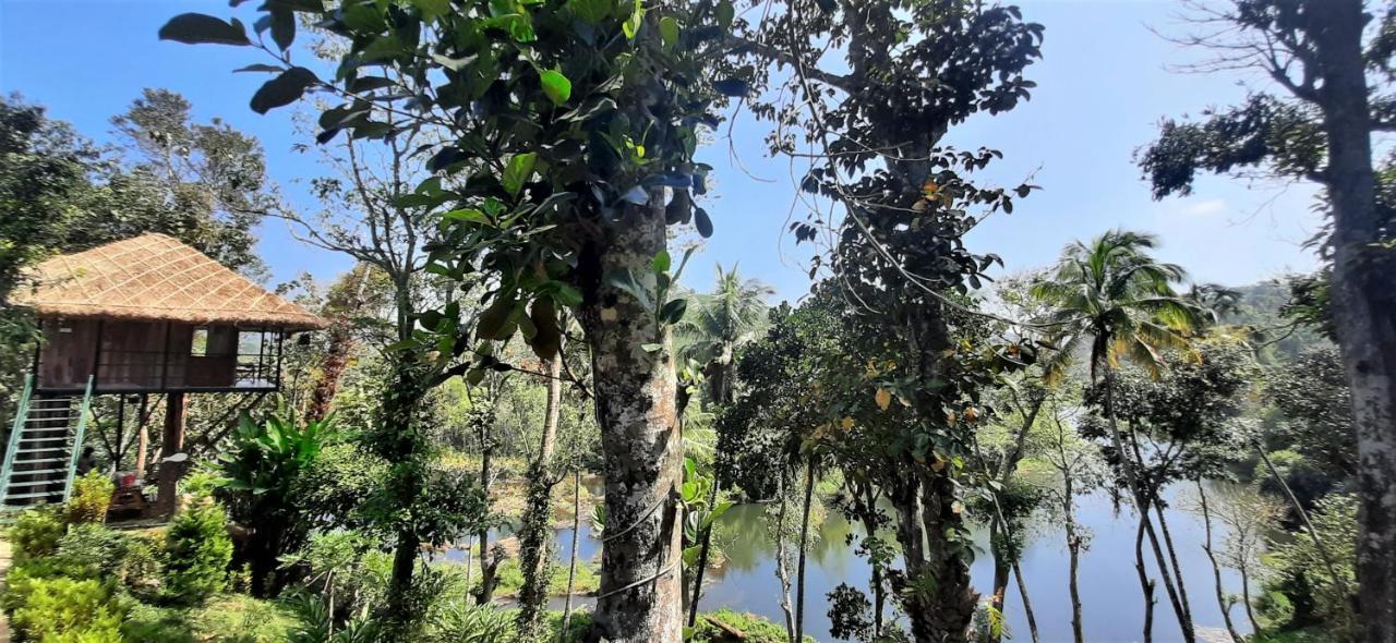 Noah'S Nest Tree House Apartment Thekkady Exterior foto