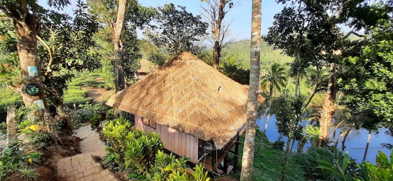Noah'S Nest Tree House Apartment Thekkady Exterior foto