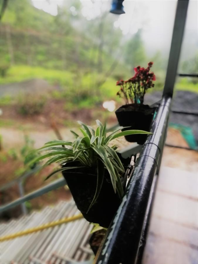 Noah'S Nest Tree House Apartment Thekkady Exterior foto