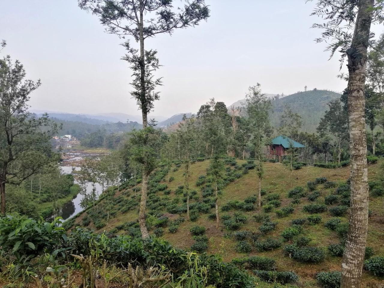 Noah'S Nest Tree House Apartment Thekkady Exterior foto