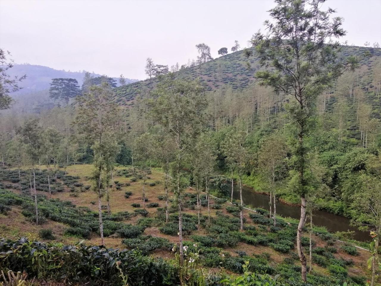 Noah'S Nest Tree House Apartment Thekkady Exterior foto