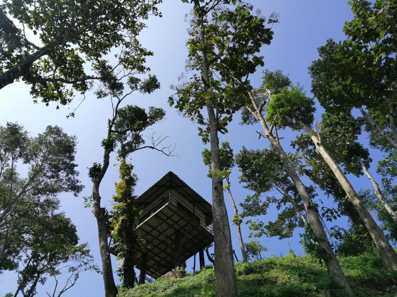 Noah'S Nest Tree House Apartment Thekkady Exterior foto