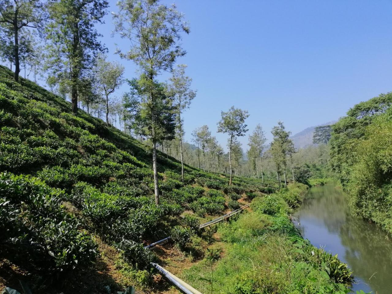 Noah'S Nest Tree House Apartment Thekkady Exterior foto